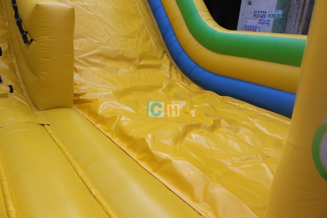 Backyard Inflatable Slide