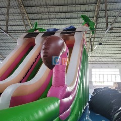 Inflatable Outdoor Slide