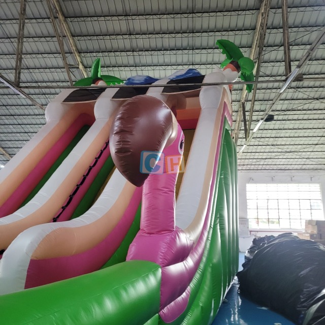 Inflatable Outdoor Slide