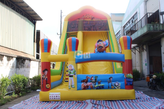 Backyard Inflatable Slide