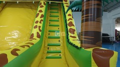 Commercial Inflatable Slip n Slide