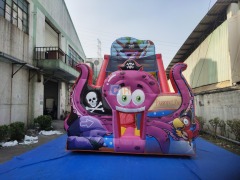 Wet And Dry Inflatable Slide