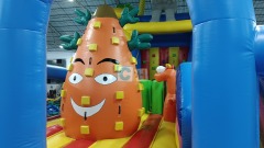 Big Inflatable Slides For Sale