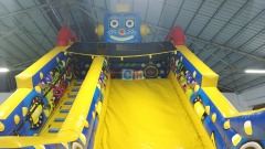 Giant Inflatable Slides For Sale