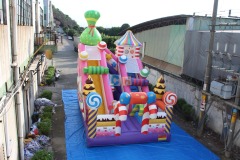 Bounce And Slide Inflatables