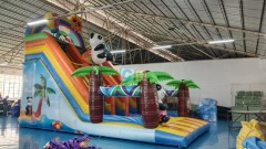 Wet Dry Slide Inflatable