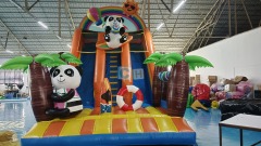 Wet Dry Slide Inflatable