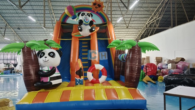 Wet Dry Slide Inflatable