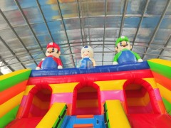 Custom Inflatable Slide