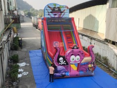 Wet And Dry Inflatable Slide