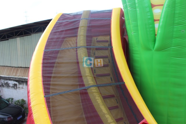 China Inflatable Slide