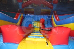 Big Inflatable Slides