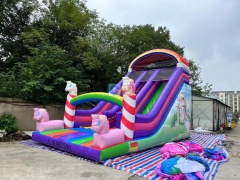 Inflatable Indoor Slide