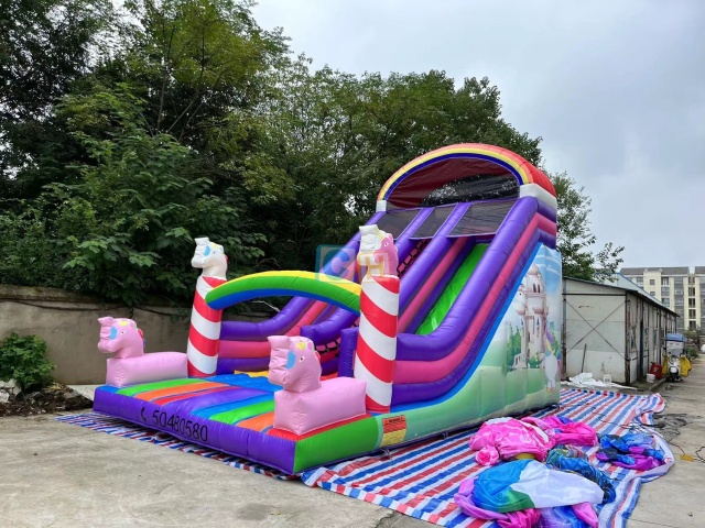 Inflatable Indoor Slide