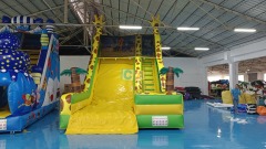 Commercial Inflatable Slip n Slide