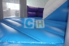 Frozen Inflatable Bounce Houses With Slide