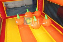 Farm Theme Outdoor Bounce Combo