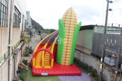 China Inflatable Slide