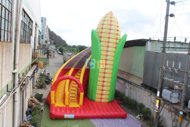 China Inflatable Slide