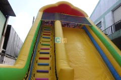 Backyard Inflatable Slide