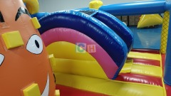 Big Inflatable Slides For Sale
