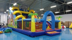 Big Inflatable Slides For Sale