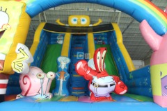 Cheap Inflatable Slides