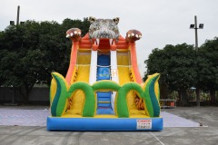 Wow Inflatable Slide
