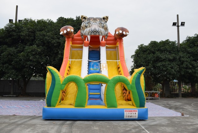 Wow Inflatable Slide