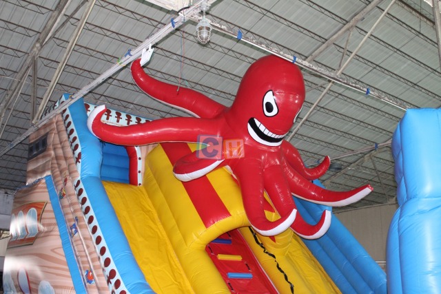 Inflatable Bouncer Slide