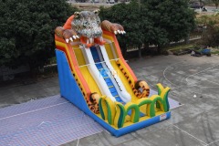 Wow Inflatable Slide