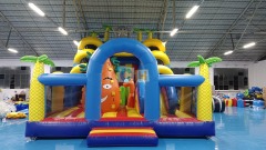 Big Inflatable Slides For Sale