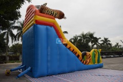 Wow Inflatable Slide