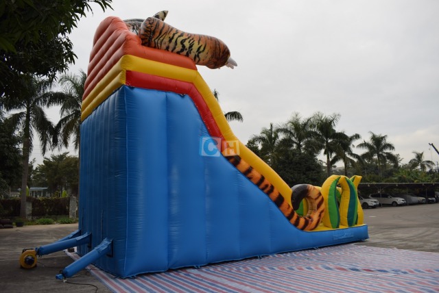 Wow Inflatable Slide