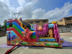 Indoor Inflatable Slide