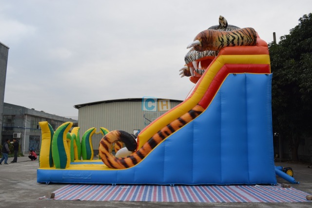 Wow Inflatable Slide