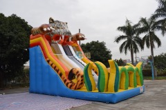 Wow Inflatable Slide