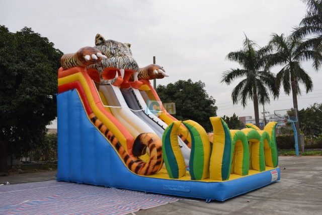 Wow Inflatable Slide