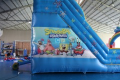 Cheap Inflatable Slides