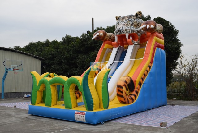 Wow Inflatable Slide