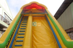 Double Slip n Slide Inflatable