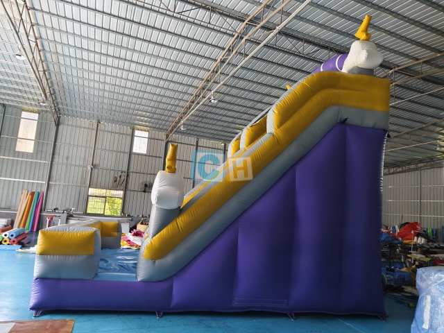 Inflatable Slide Backyard