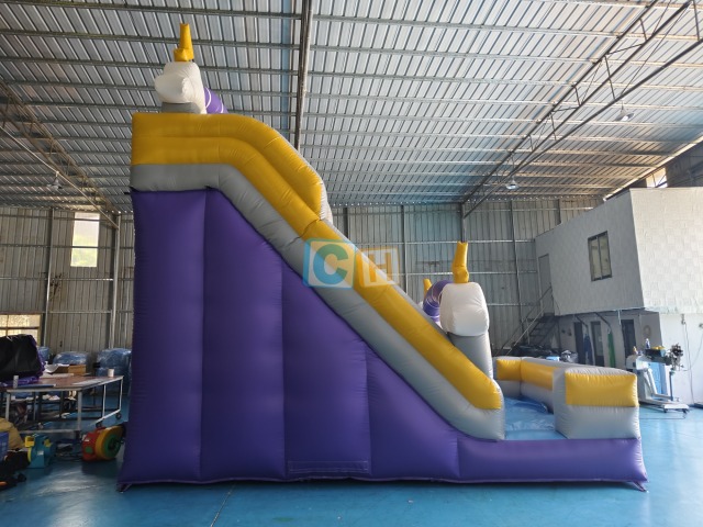 Inflatable Slide Backyard