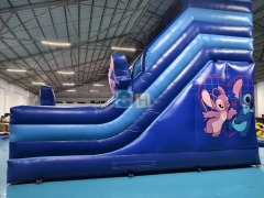 Inflatable Party Slides