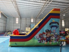 Inflatable Jumper With Slide