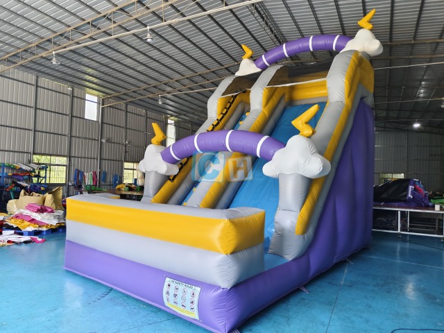 Inflatable Slide Backyard