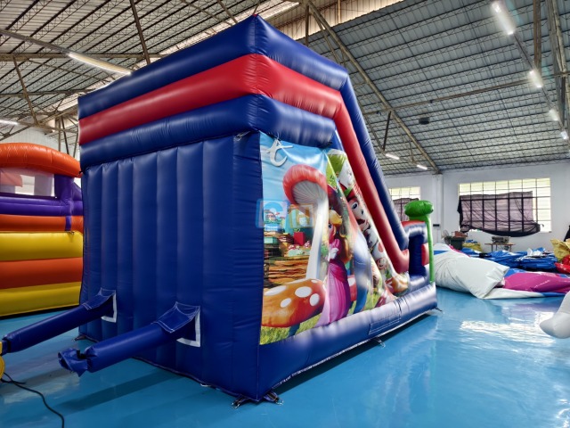 Inflatable Bounce House With Slide For Sale