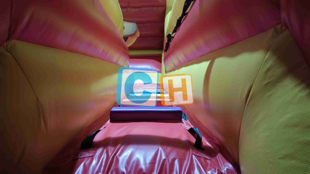 Emoji Big Bounce House With Slide