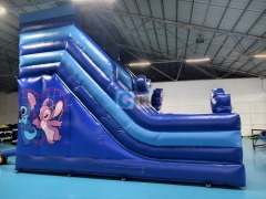 Inflatable Party Slides