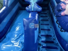 Inflatable Party Slides